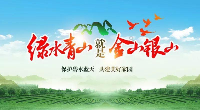 救援白色小猫